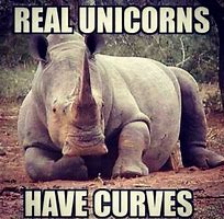 Image result for Unicorn Women Meme