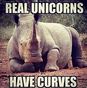 Image result for Rainbows and Unicorns Meme