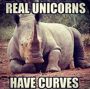 Image result for Hump Day Unicorn Memes