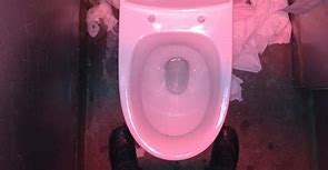 Image result for Thomas Elkins Invention Toilet