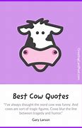 Image result for Dairy Cow Quotes