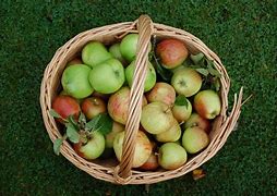Image result for Types of Apple's for Eating