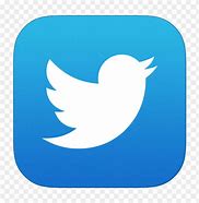 Image result for iPhone Twitter App Icon