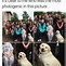 Image result for Funny Lab Dog Memes