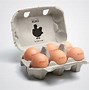 Image result for L'eggs Packaging