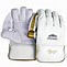 Image result for Wicket Keeping Gloves Animated