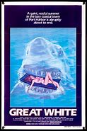 Image result for Great White Gallery Cover Art
