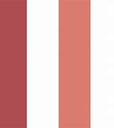 Image result for 2 Color Stripes