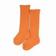 Image result for WWE Socks for Kids