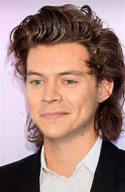 Image result for Harry Styles Mullet