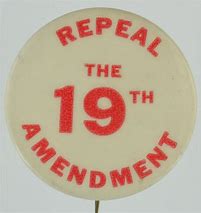 Image result for Amendment 19 Meme