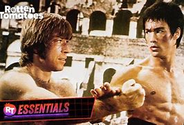 Image result for Greatest Martial Arts Fight Scenes