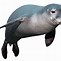 Image result for SRB Seal PNG