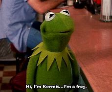 Image result for Kermit Hoodie Meme