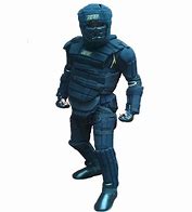 Image result for Martial Arts Protective Suit