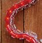 Image result for Christmas Hanging Clips