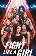 Image result for Girls Fighting Like. WWE