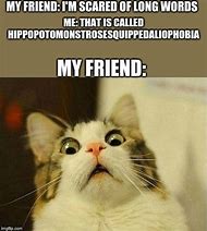 Image result for Hippopotomonstrosesquippedaliophobia Meme