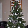 Image result for Cats and Christmas Trees Funny