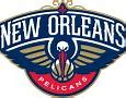 Image result for Pelicans Logo Vector SVG Clear