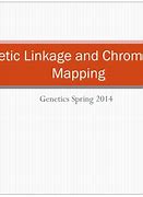 Image result for Human Chromosome Gene Map