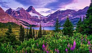 Image result for 16K Nature Wallpaper