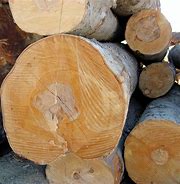 Image result for cut wood