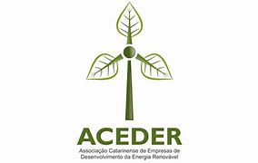 Image result for aceeedor