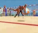 Image result for Summer Beach Volleyball