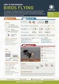 Image result for Photography Cheat Sheet