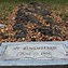 Image result for John Wayne Gacy Burial Site