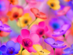 Image result for Flowery Wallpaper