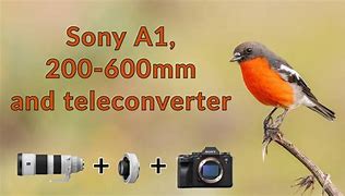 Image result for Sony 200 Camera