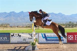 Image result for A Horse Jumping