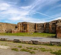 Image result for Pompeii Fossil People
