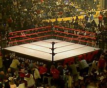 Image result for WWE Jewelry