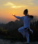 Image result for Wudang Chuan