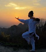 Image result for Taoist Tai Chi