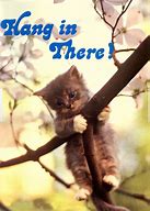 Image result for Hang in There Friend