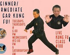 Image result for Hung Gar Kung Fu Styles