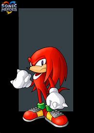 Image result for Knuckles the Echidna Dead