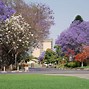 Image result for Windhoek Gardens