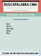 Image result for morroña