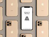 Image result for Rose Gold iPhone Cases