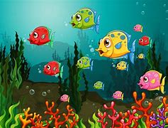 Image result for Red Fish Cartoon