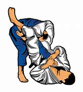 Image result for Jiu Jitsu vs BJJ