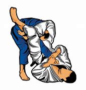 Image result for Brazilian Jiu Jitsu Vector