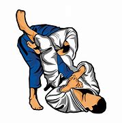 Image result for Brazilian Jiu-Jitsu Triangle