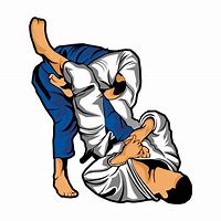 Image result for Jiu Jitsu Symbolic Art