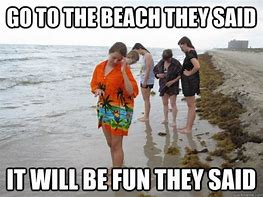 Image result for Beach Wear Meme